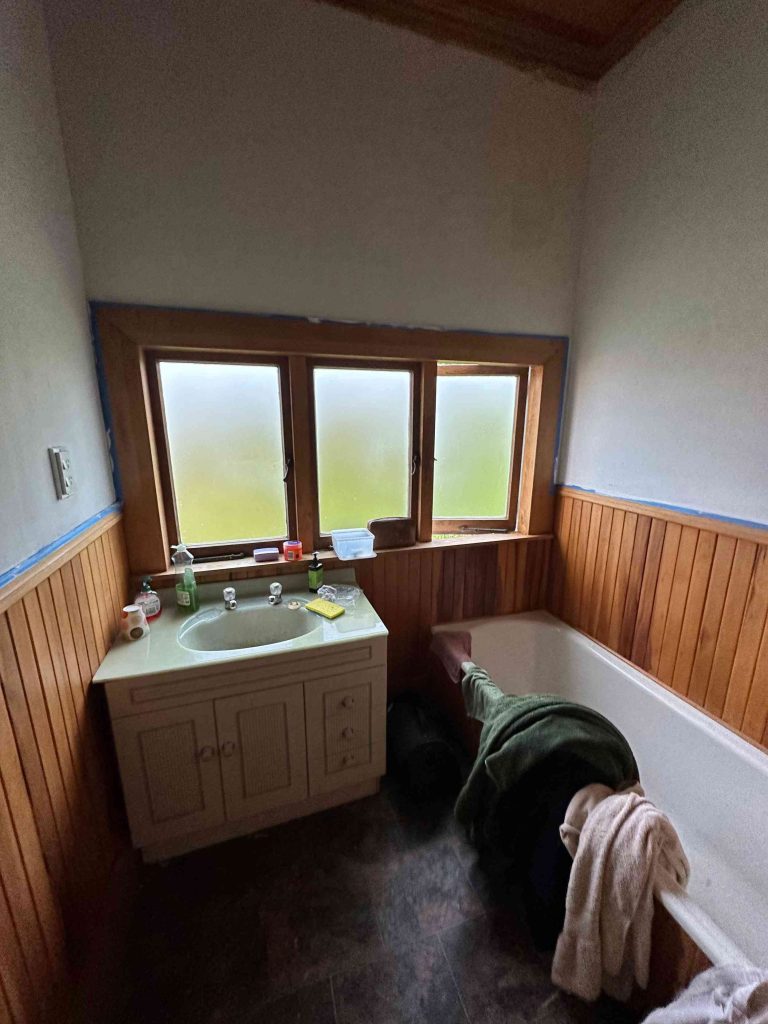 Prospect Road, Prospoect 5082 bathroom renovation 10