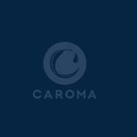 bathroom renovation caroma 2